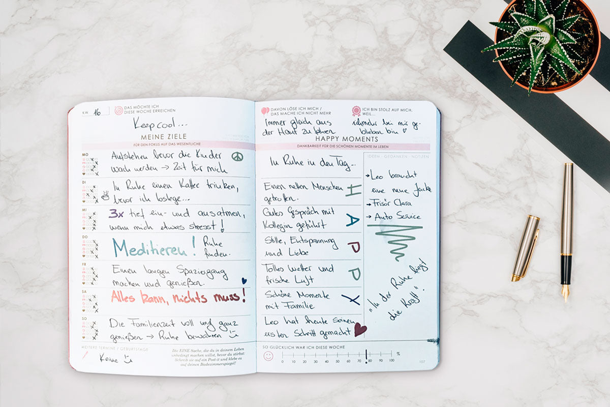 Anwendungsbeispiele Wochenreflexion