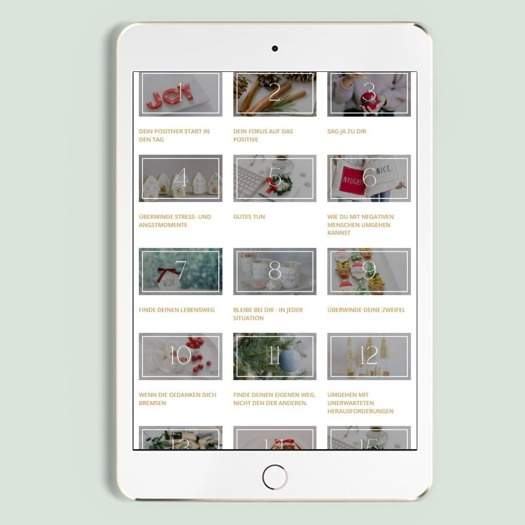 NEW YOU Adventskalender