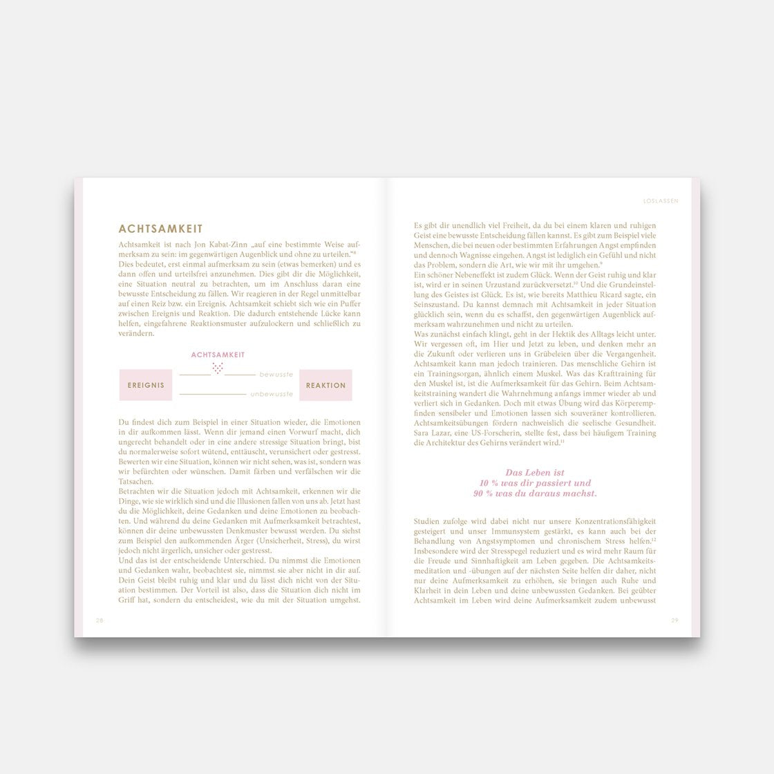 THE NEW YOU Ebook (Download PDF)